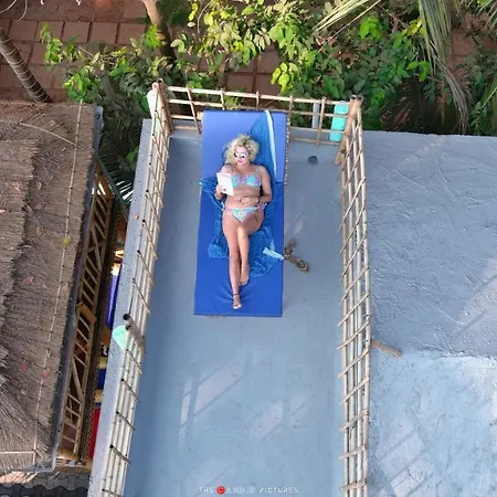 Tropical Wave Hostel Morjim Goa-2